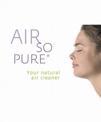 Air So Pure (luchtzuiverende planten)