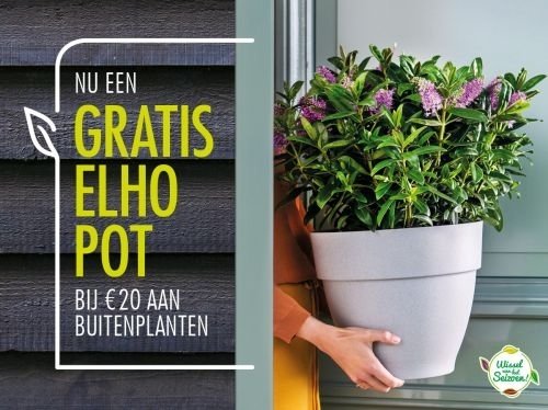 Elho-actie 'Groene Binnenkomers'