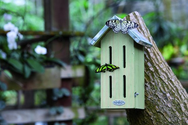 Dieren in de tuin